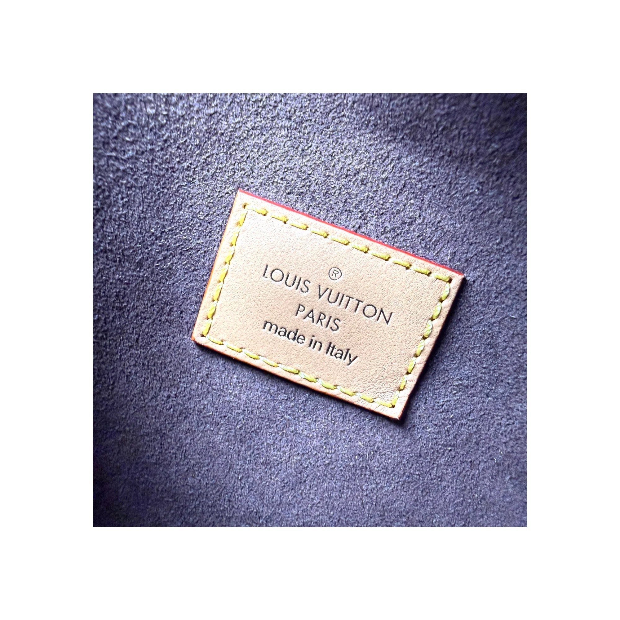 Louis Vuitton Monogram Canvas Side Trunk Bag
