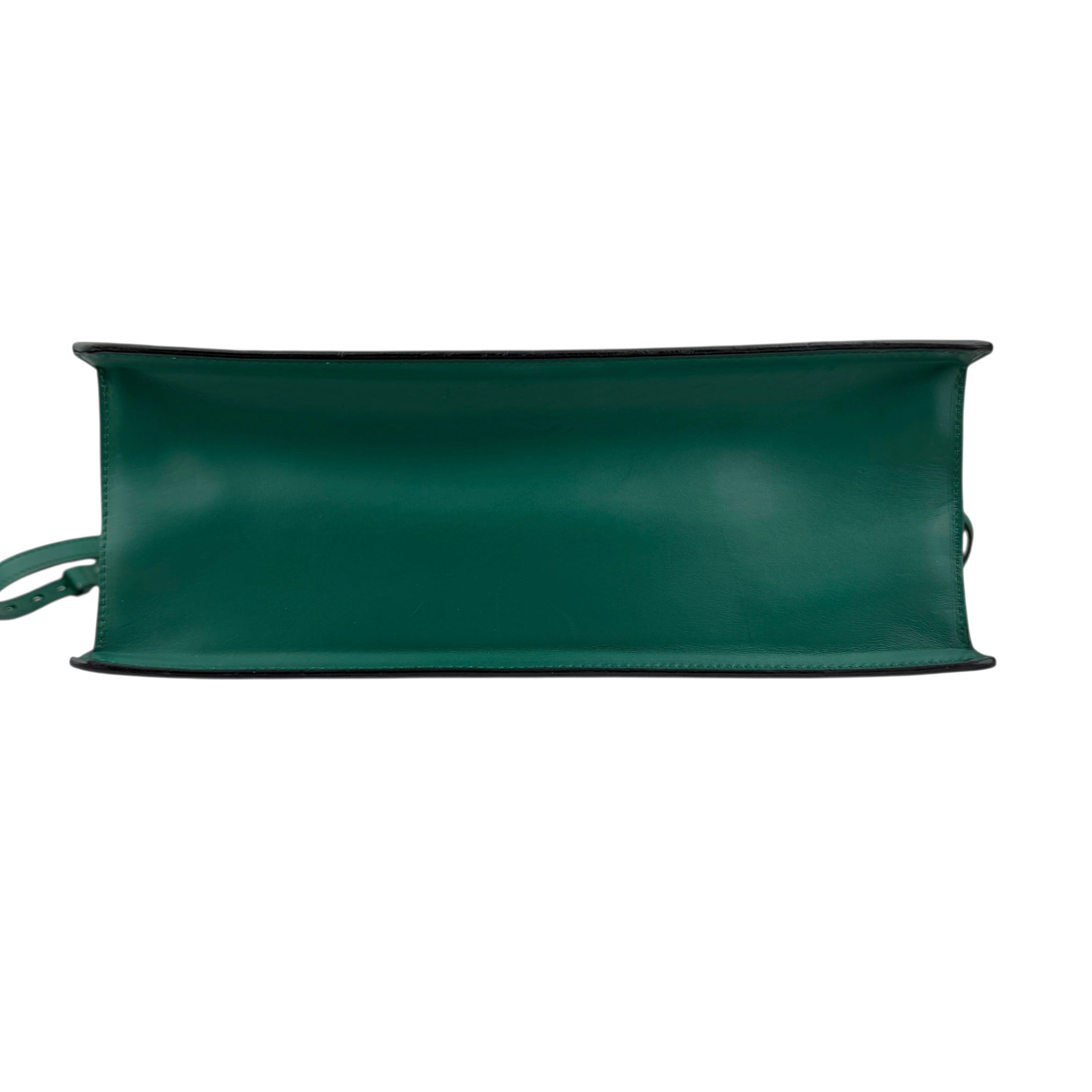 Pre-owned Gucci Dionysus Bamboo leather handbag