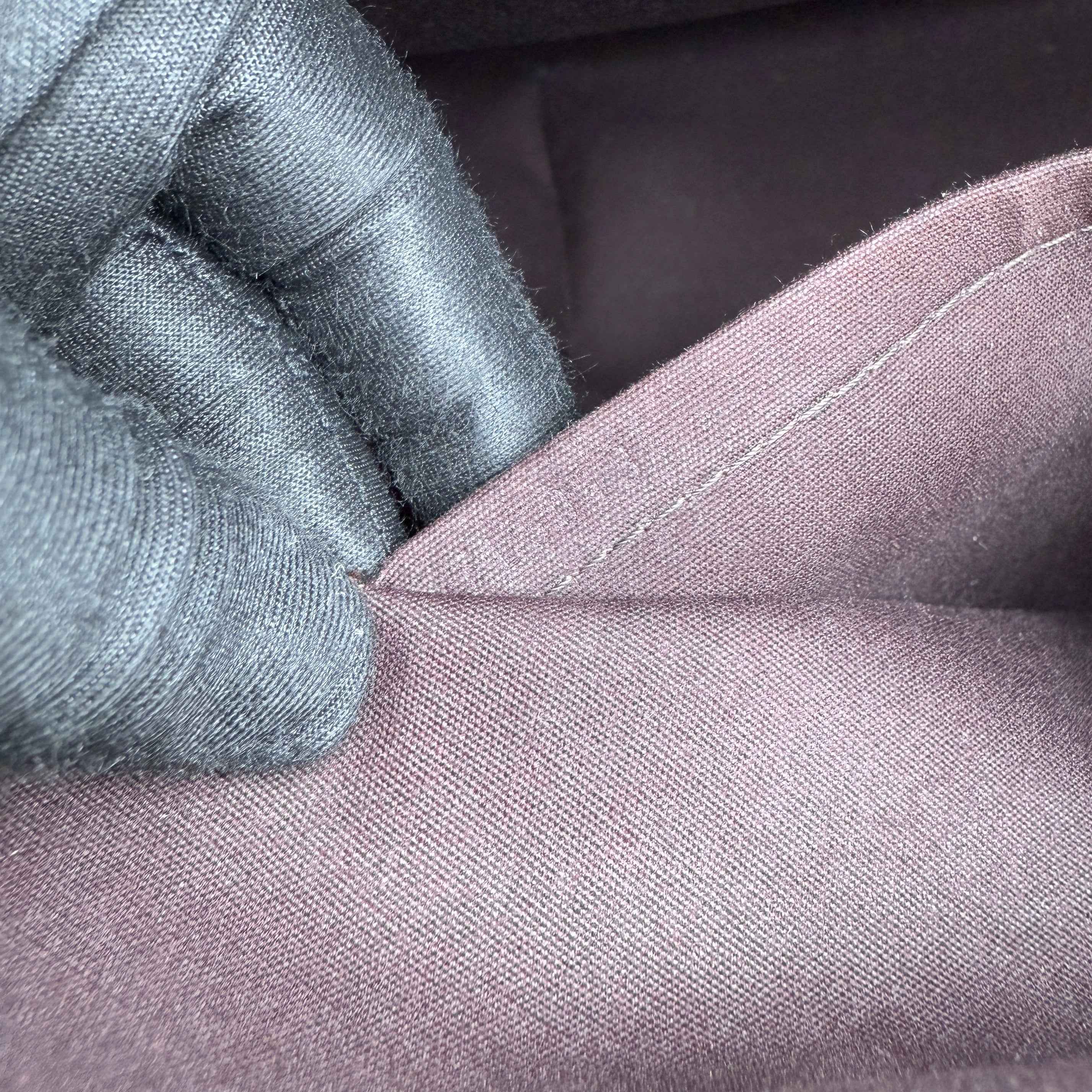 Louis Vuitton Amarante Monogram Vernis Bellevue Bag