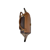 Celine Tri-Color Leather Medium Trapeze Bag