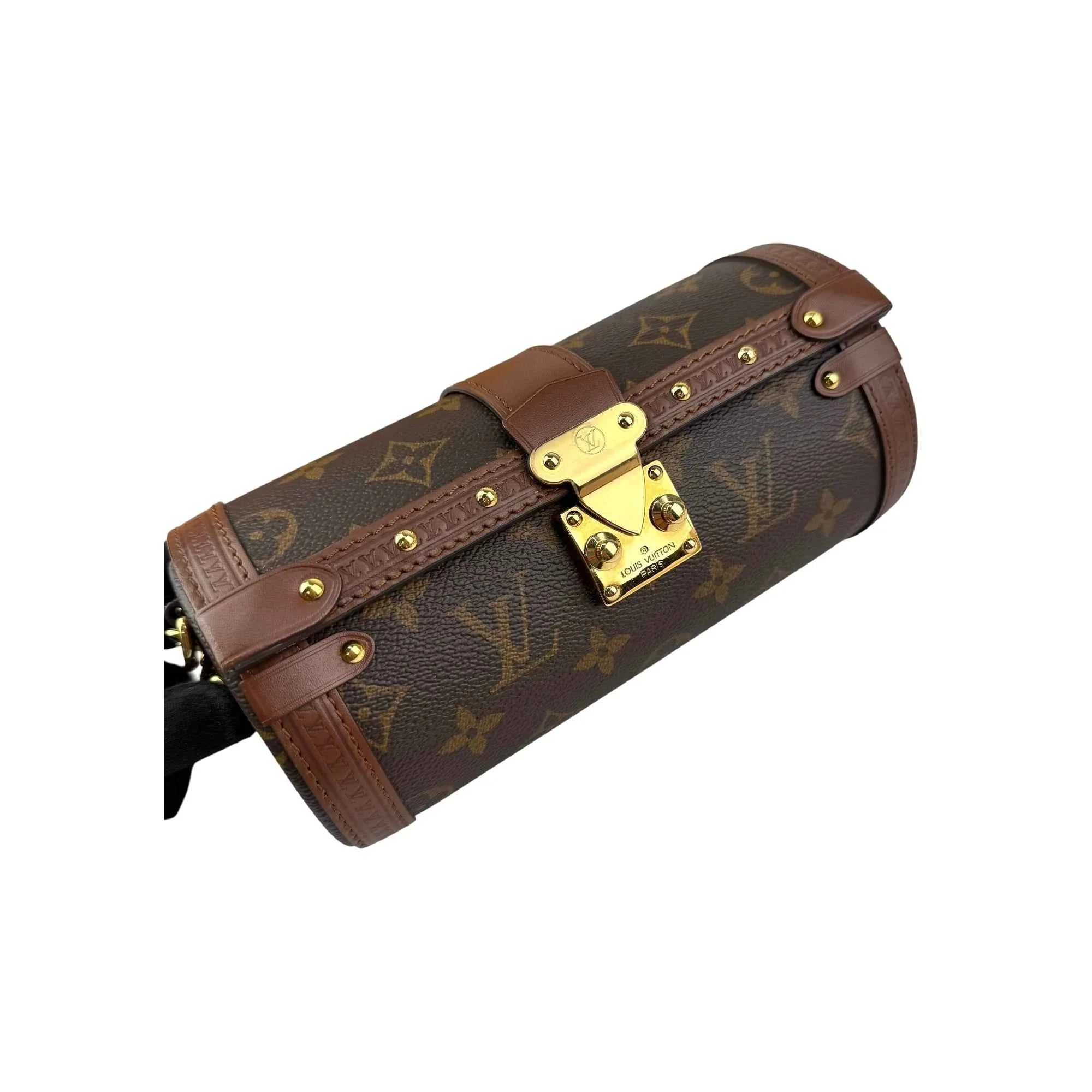 Louis Vuitton Monogram Canvas Papillon Trunk Bag
