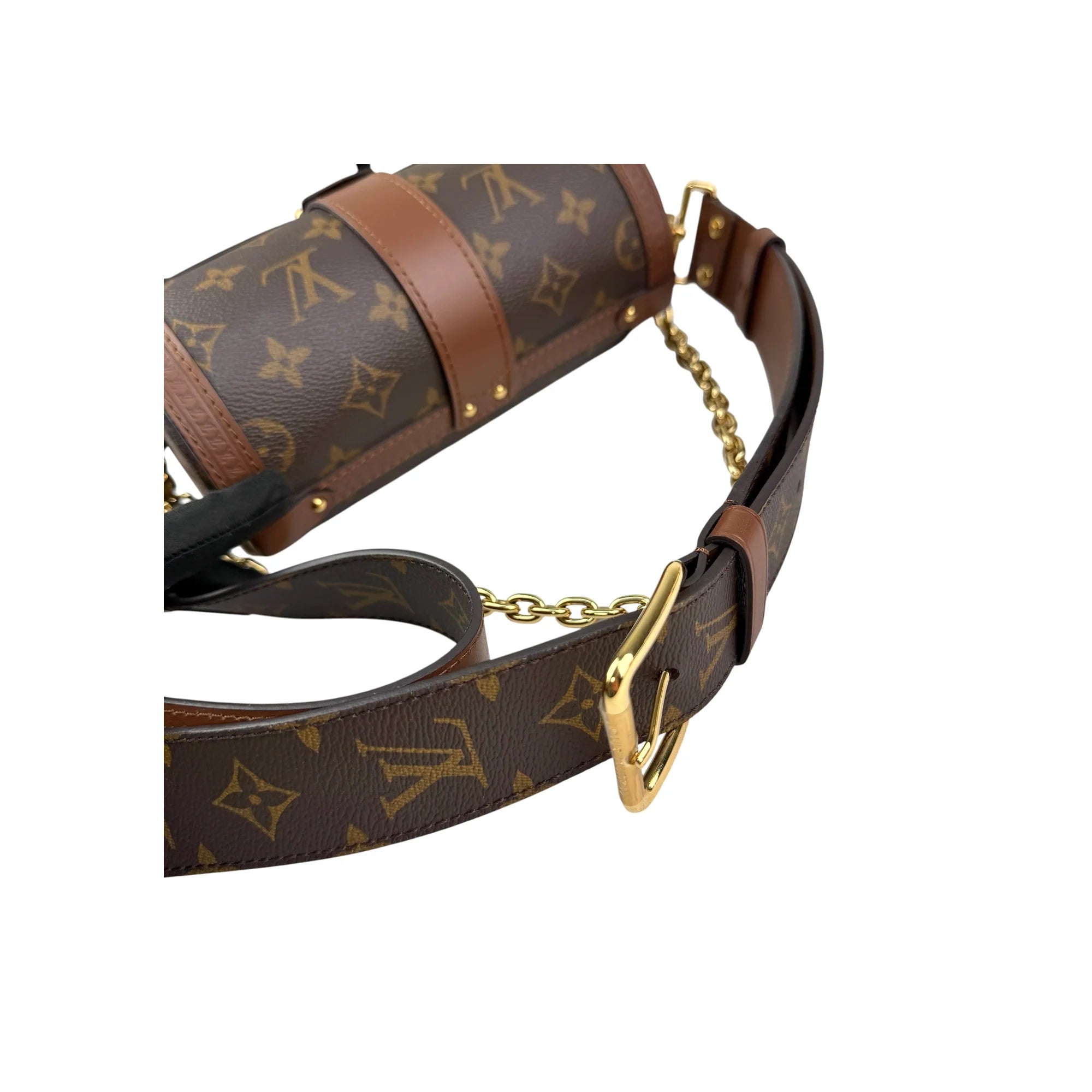 Louis Vuitton Monogram Canvas Papillon Trunk Bag