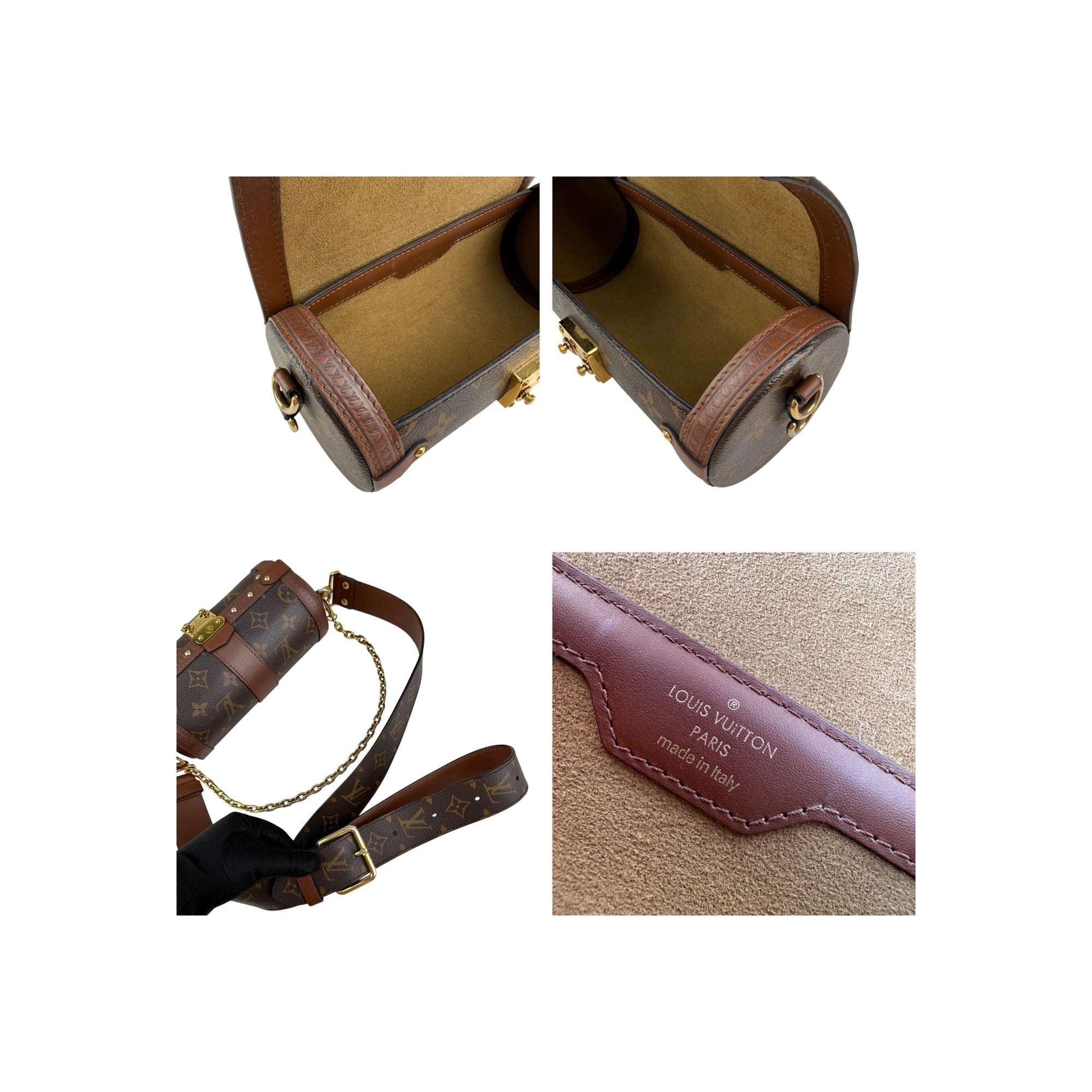 Louis Vuitton Monogram Canvas Papillon Trunk Bag