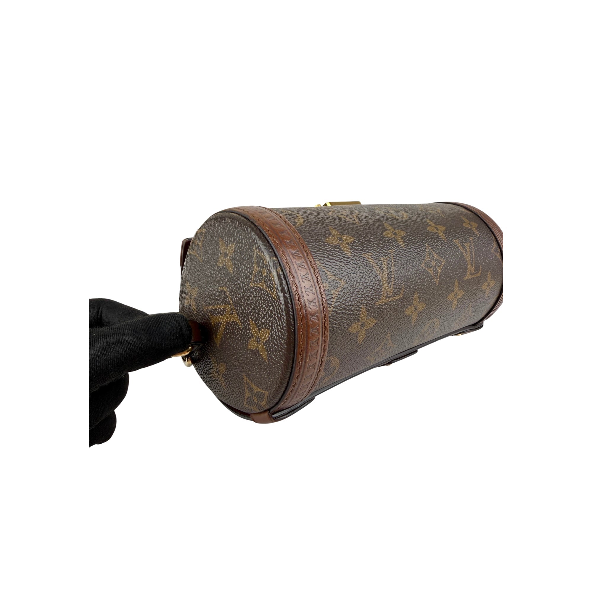 Louis Vuitton Monogram Canvas Papillon Trunk Bag