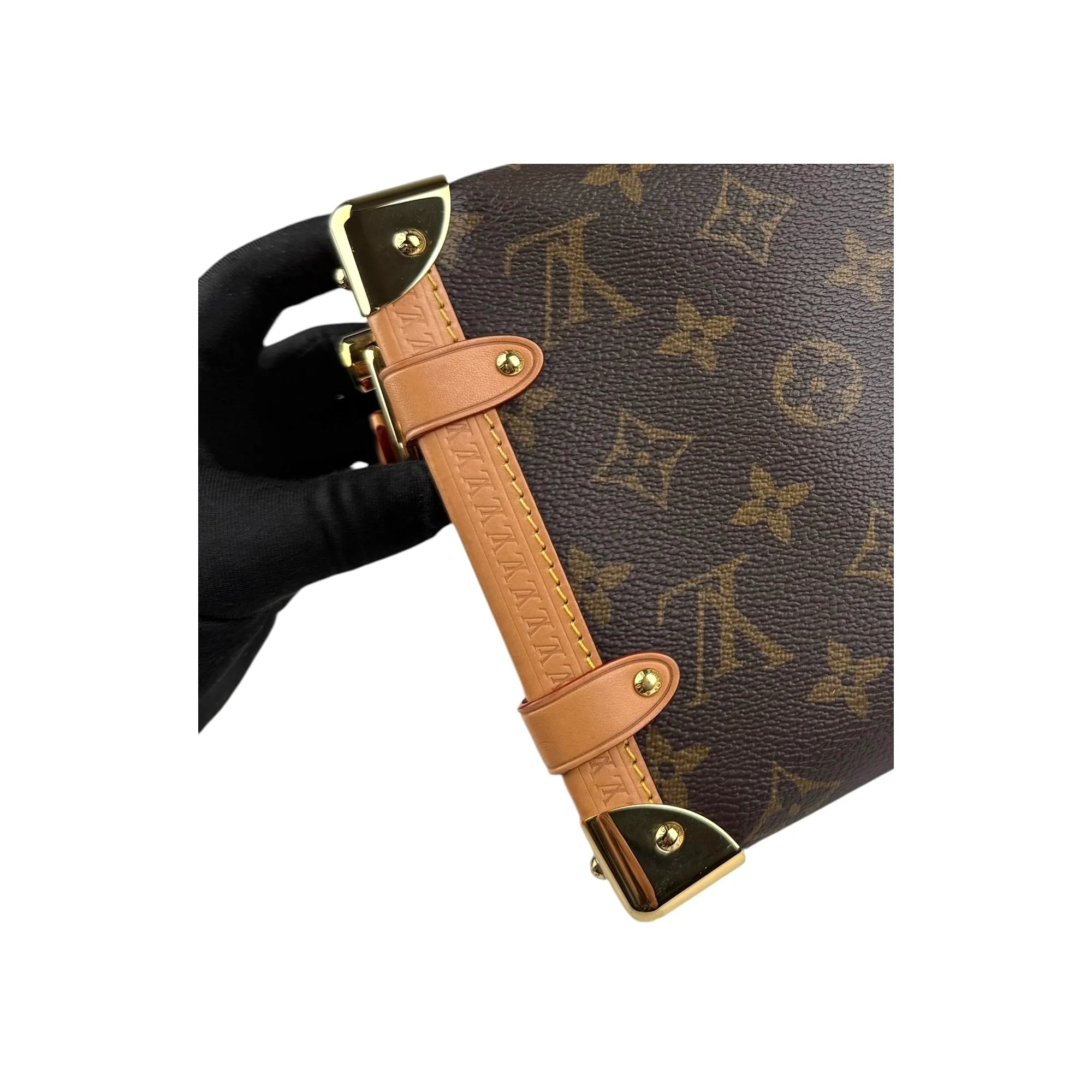 Louis Vuitton Monogram Canvas Side Trunk Bag