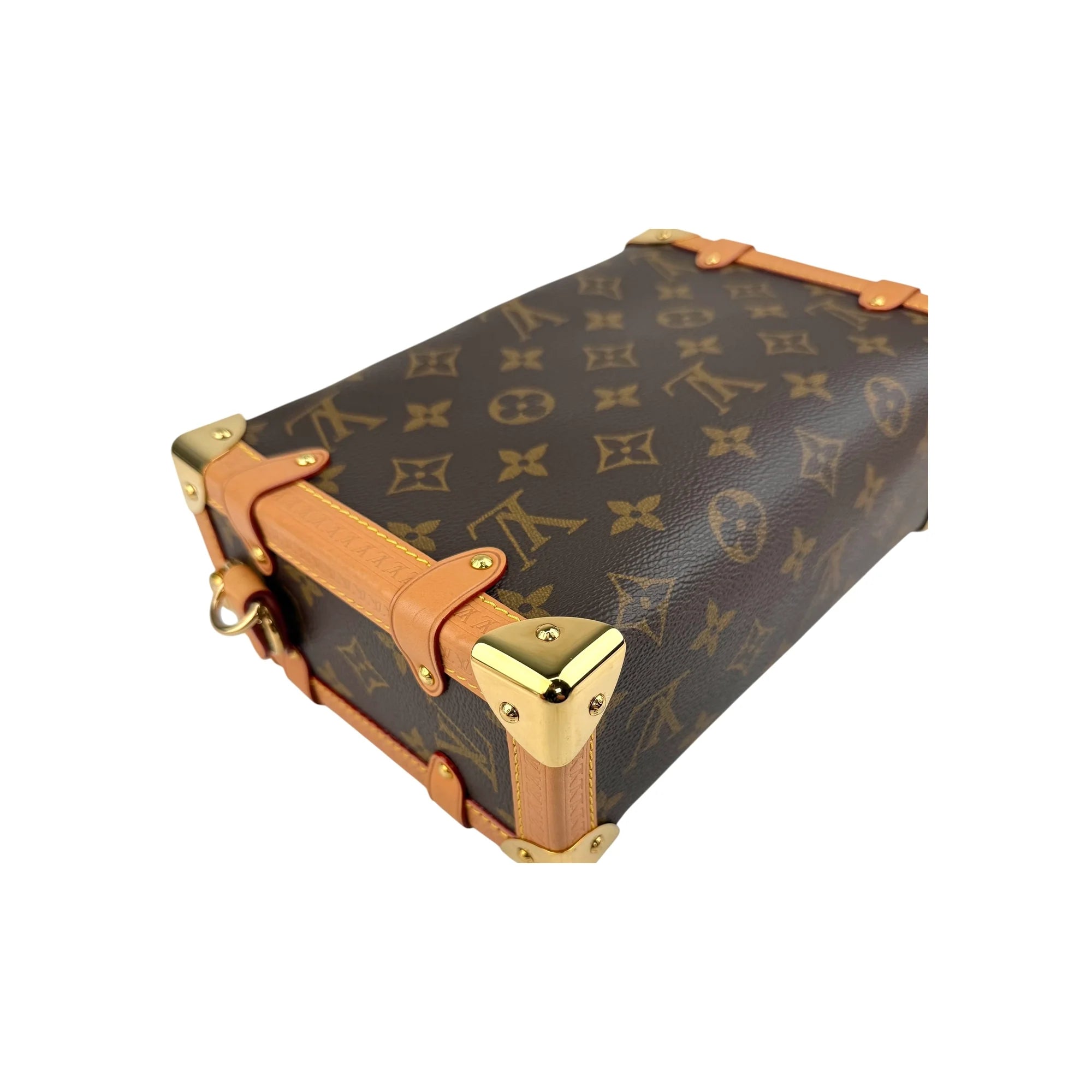 Louis Vuitton Monogram Canvas Side Trunk Bag
