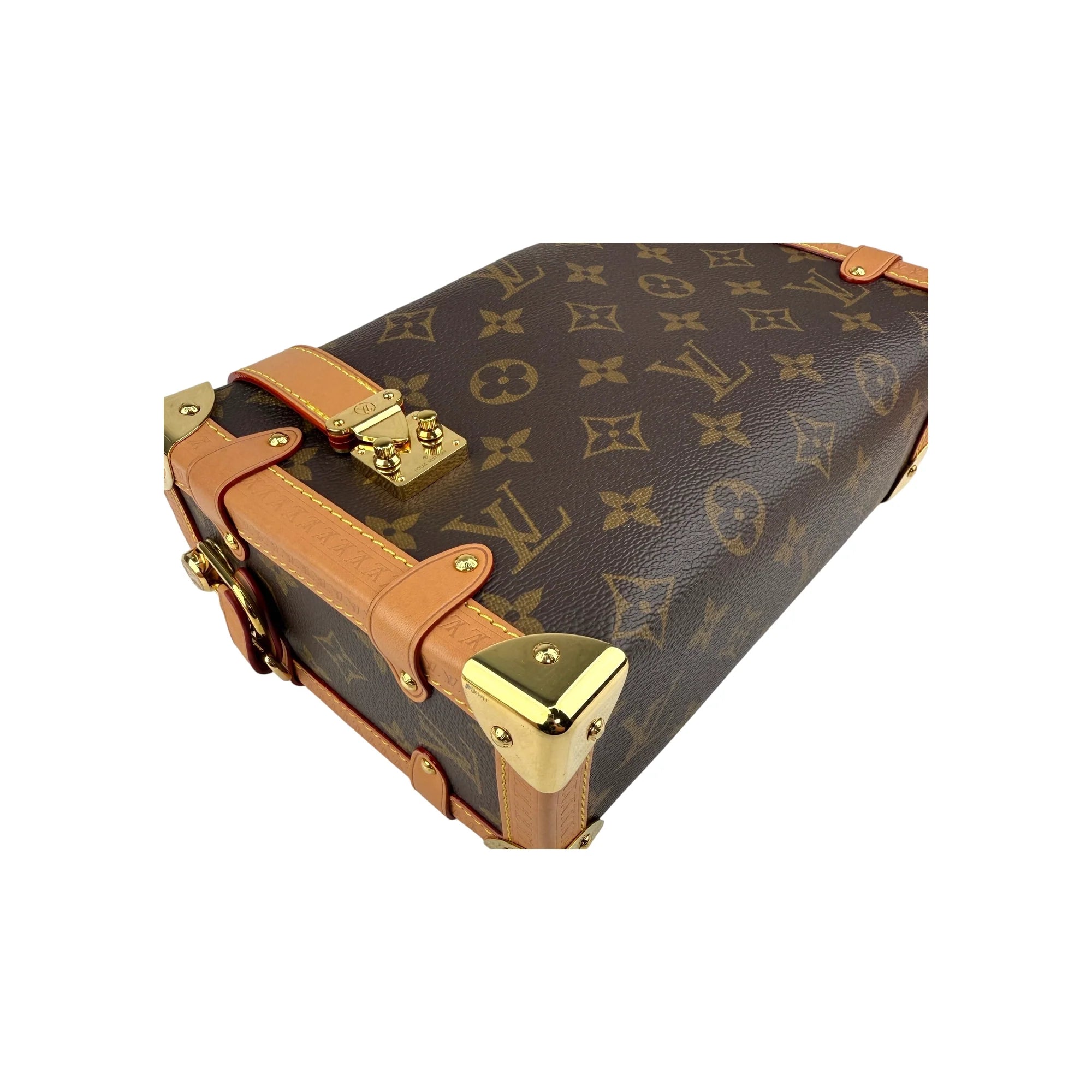 Louis Vuitton Monogram Canvas Side Trunk Bag